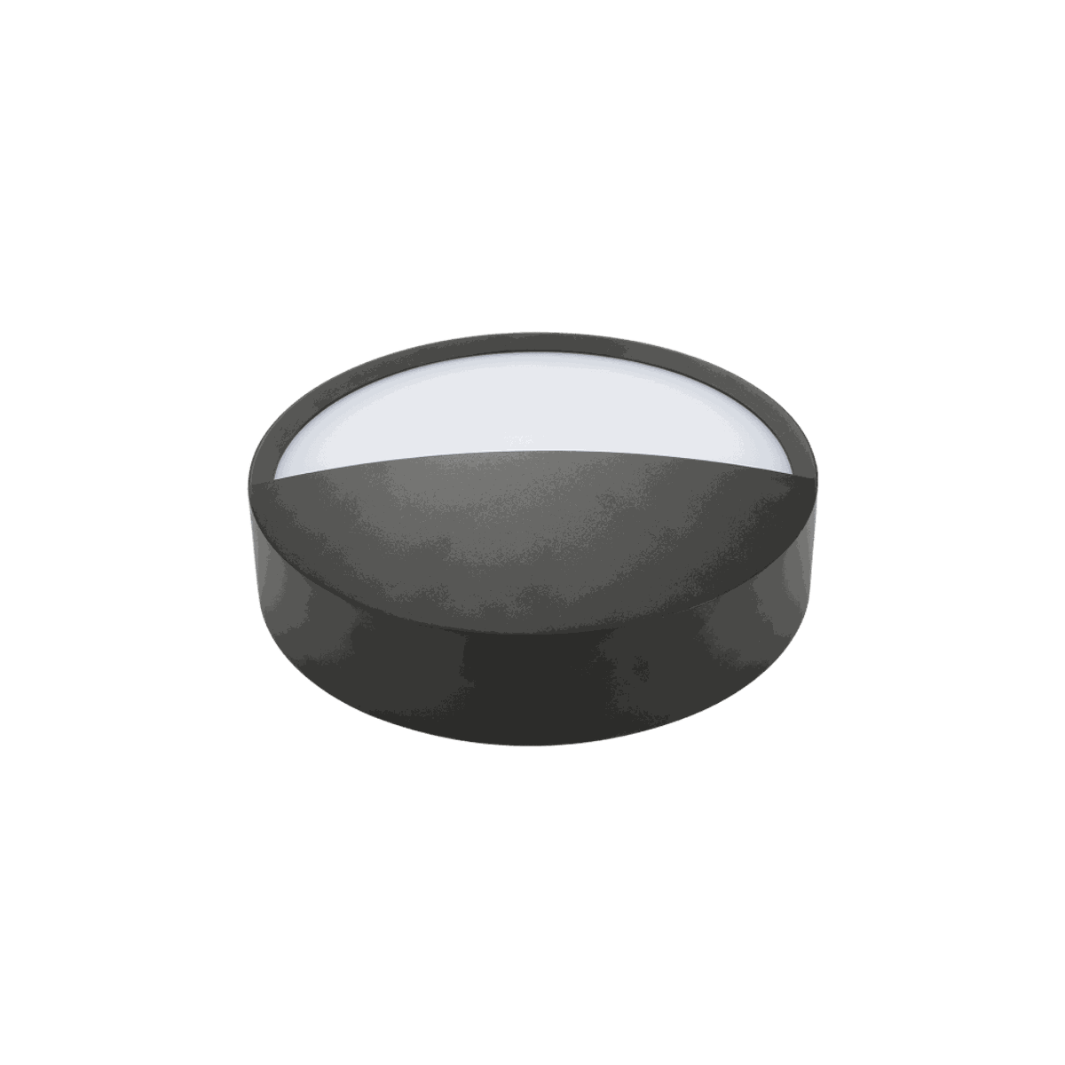 Salsa Lid