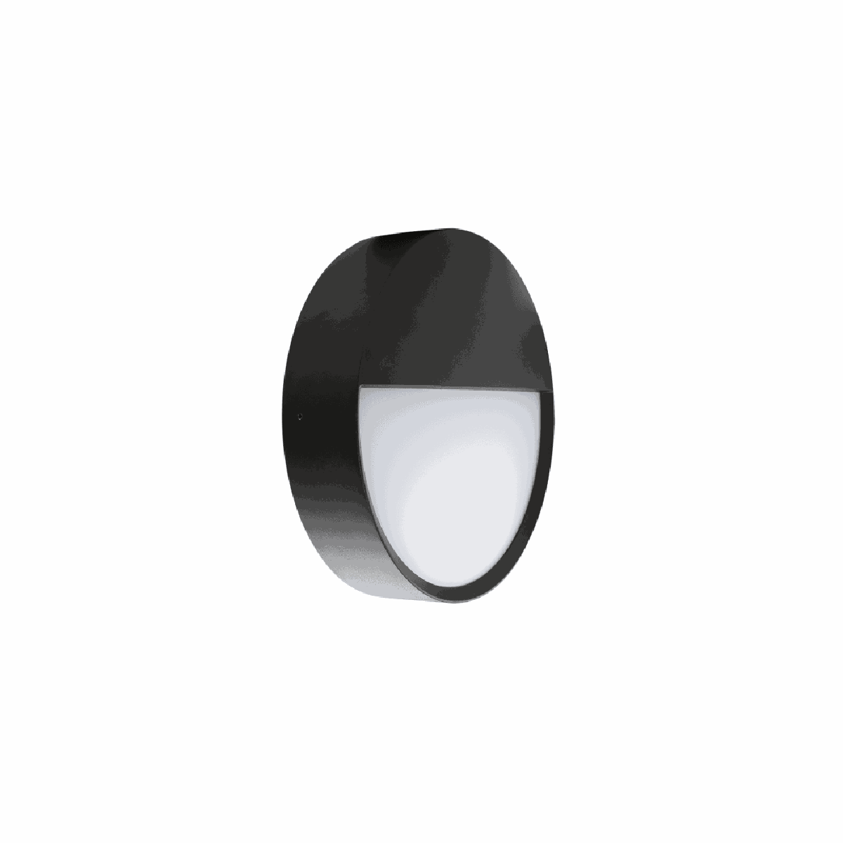 Salsa Lid