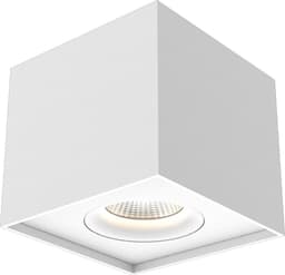 Iblocc 1 view 1