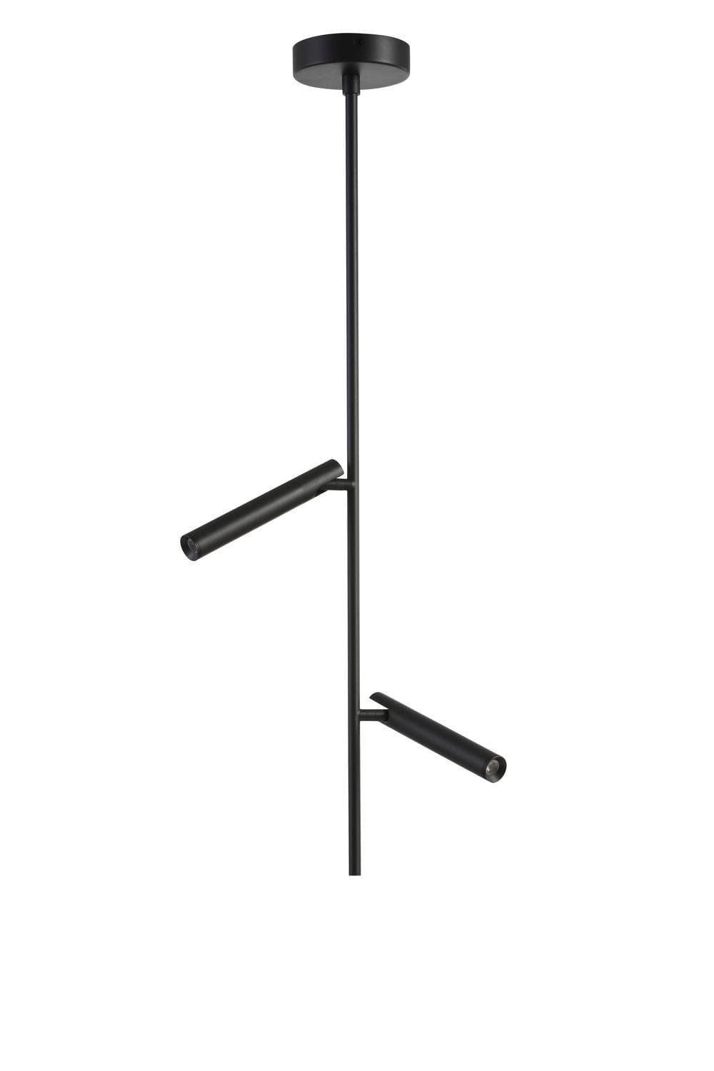 Nydle C2