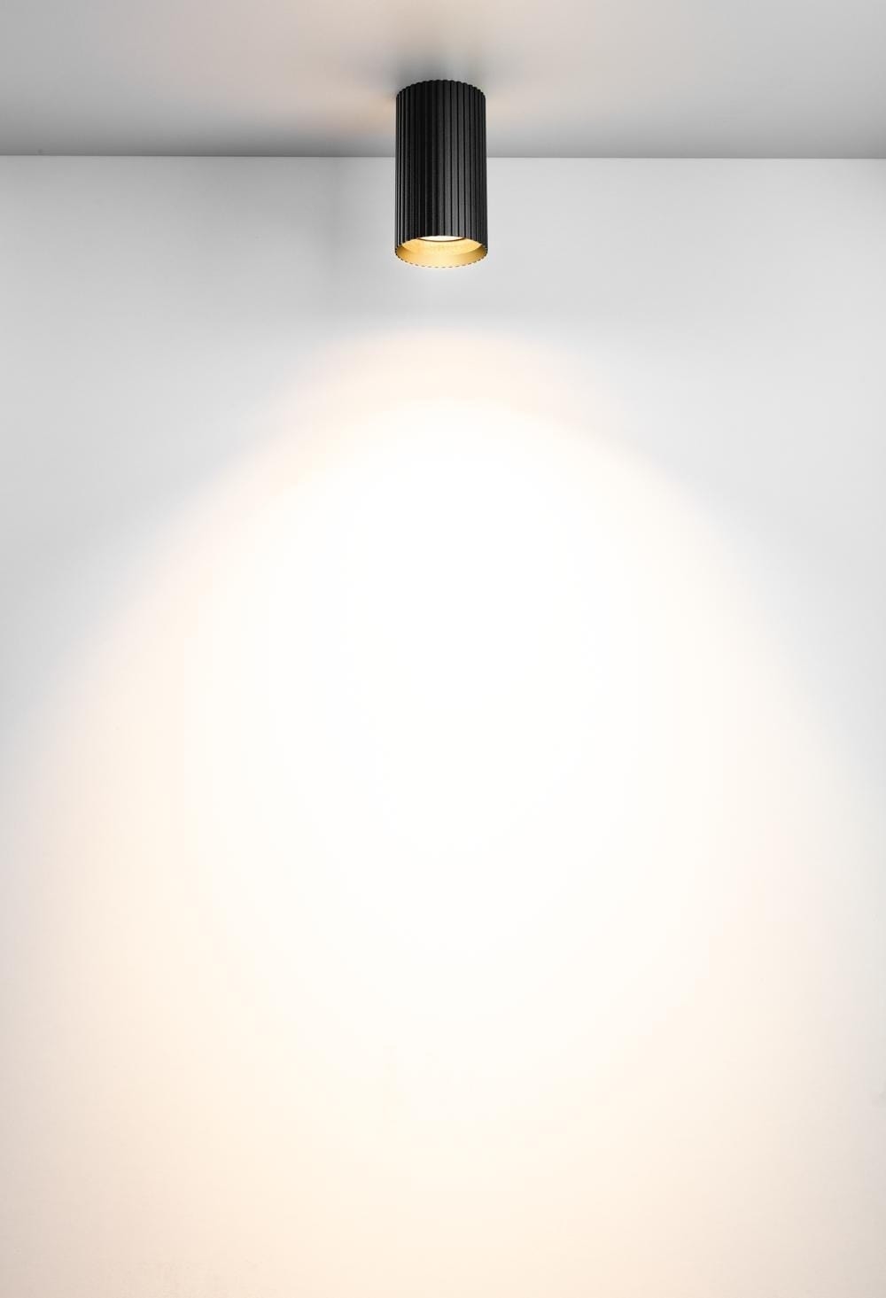 Onis C - Alternative view