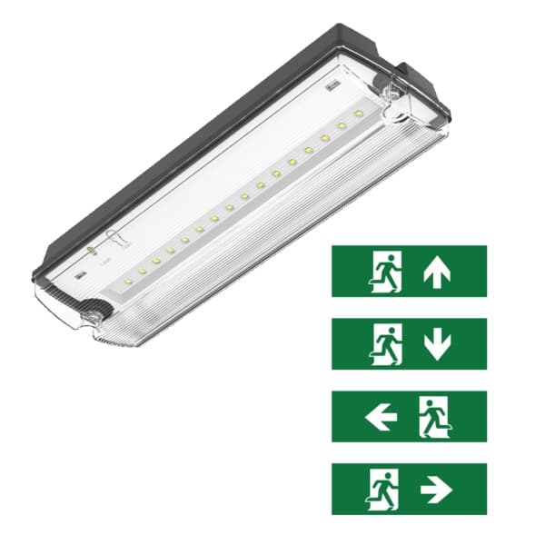 Emergency Light IP66