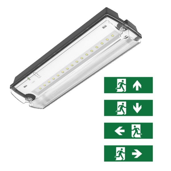 emergency-light-ip66