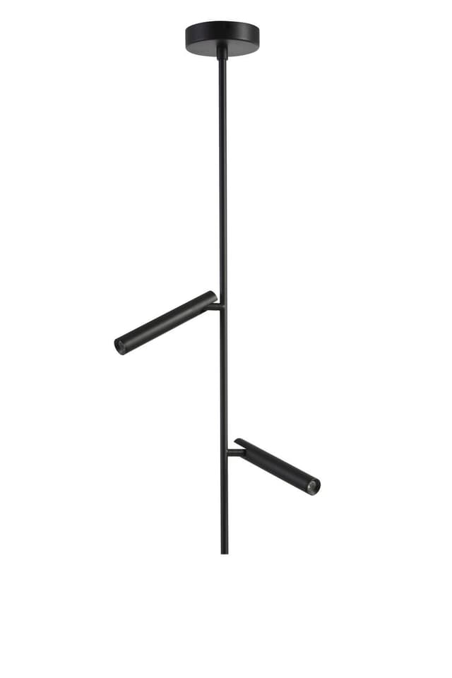 Nydle C2