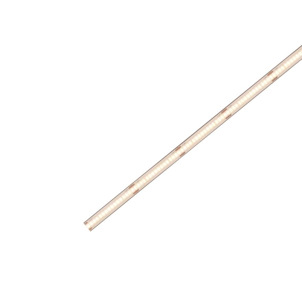CSP LED Strip IP68